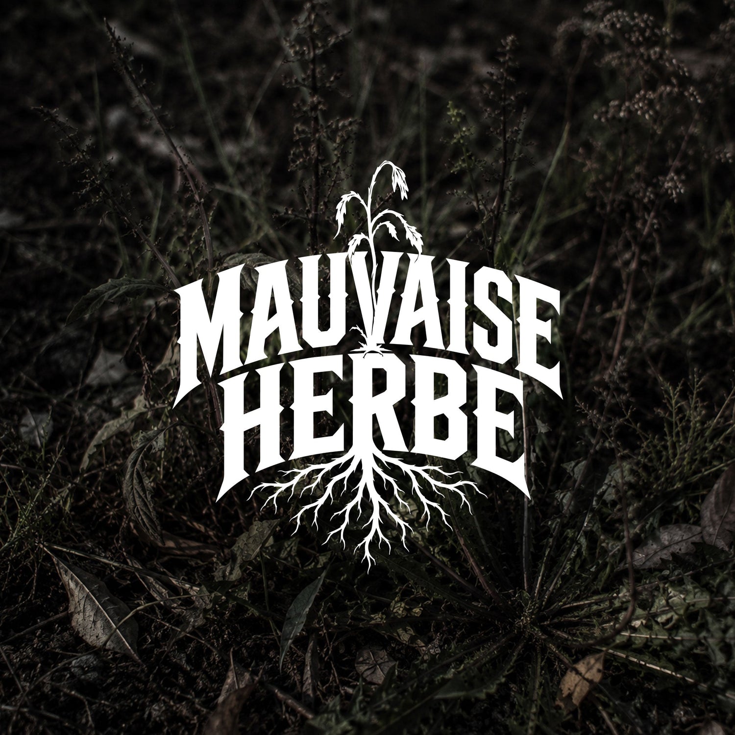 MAUVAISE HERBE