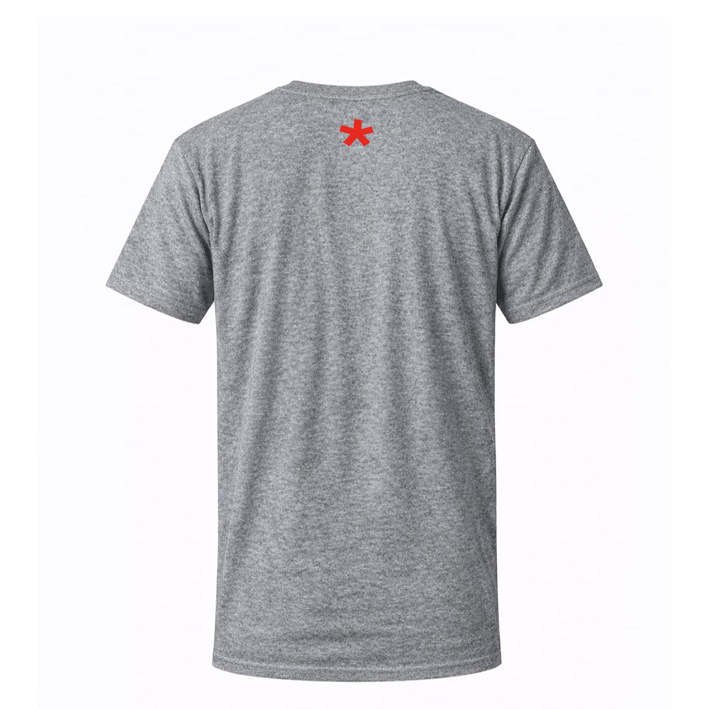 T-shirt gris KARLITO - KARLITO