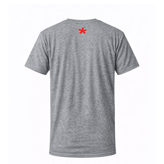 T-shirt gris SECRET - KARLITO